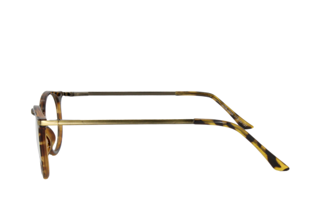 Lente Oftálmico Nobely Eyewear NOB0856 Carey con dorado
