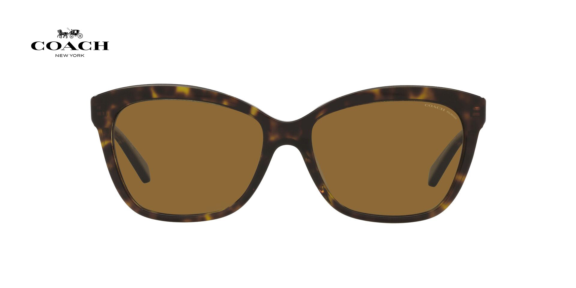 Lente solar Coach 0HC8305 Dark Tortoise