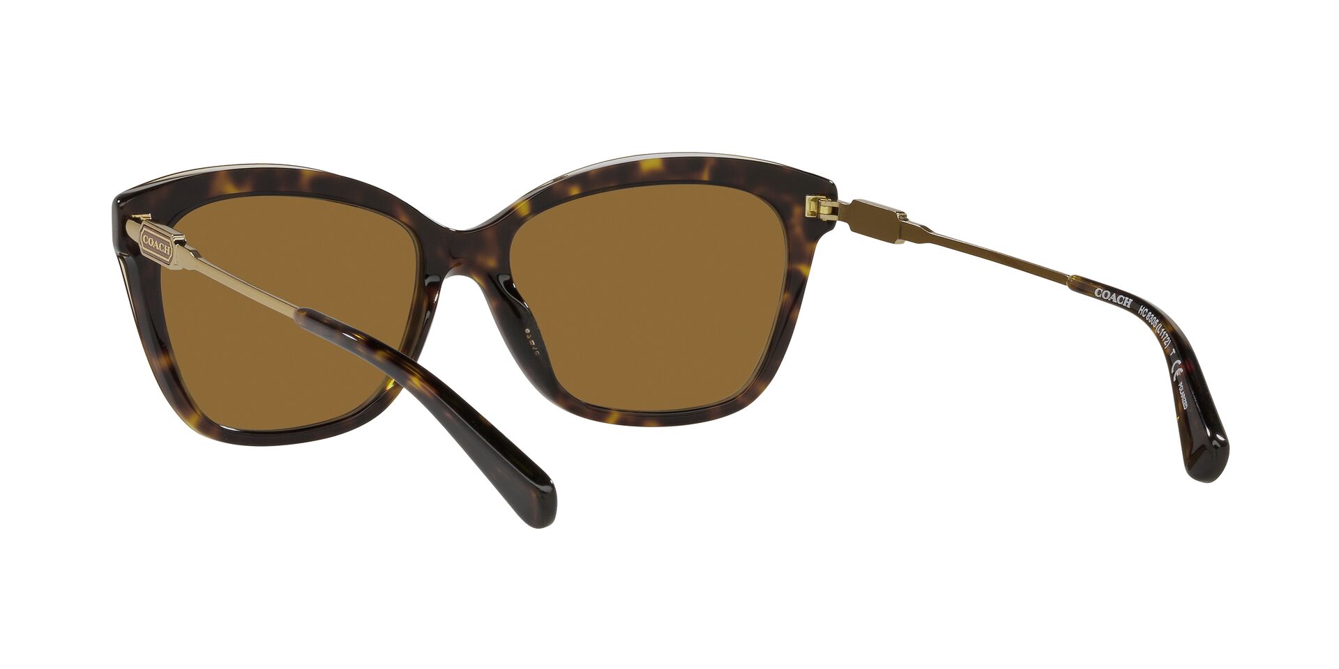 Lente solar Coach 0HC8305 Dark Tortoise