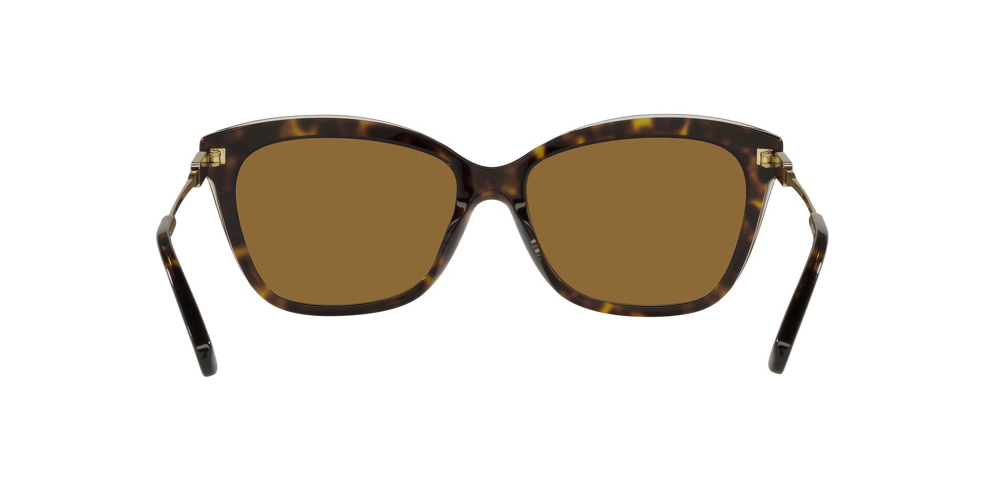 Lente solar Coach 0HC8305 Dark Tortoise