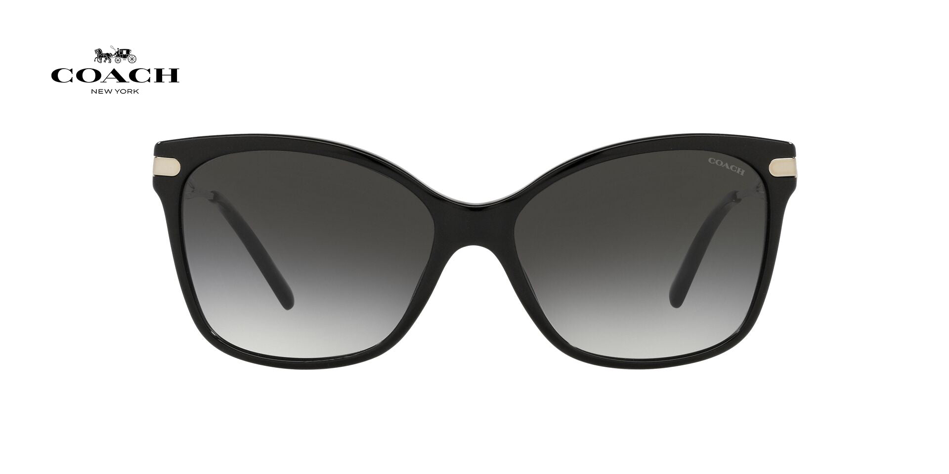 Lente solar Coach 0HC8316 Black