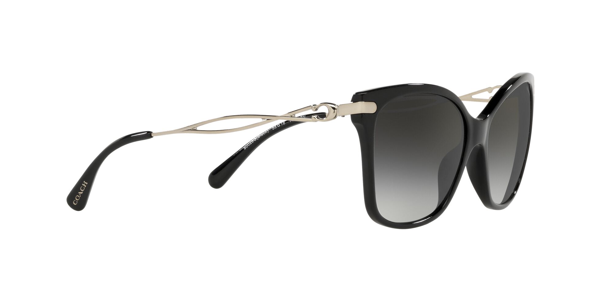 Lente solar Coach 0HC8316 Black