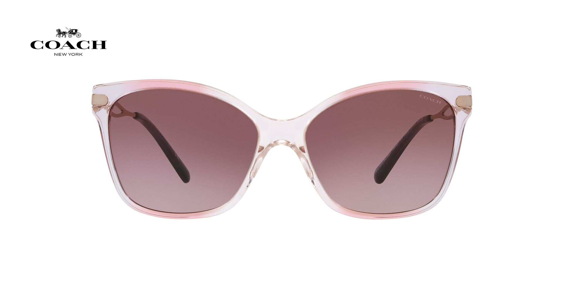 Lente solar Coach 0HC8316 Gradient Transparent Violet