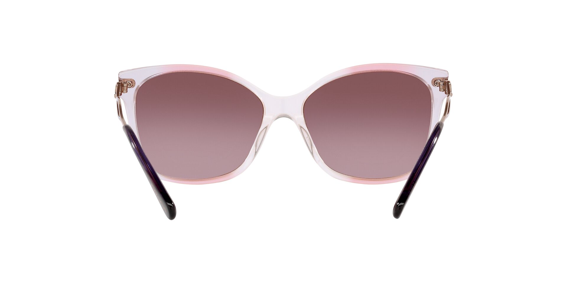 Lente solar Coach 0HC8316 Gradient Transparent Violet