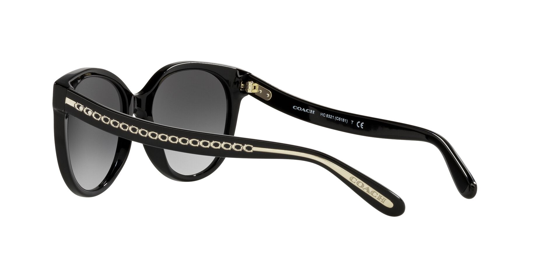 Lente solar Coach 0HC8321 Black