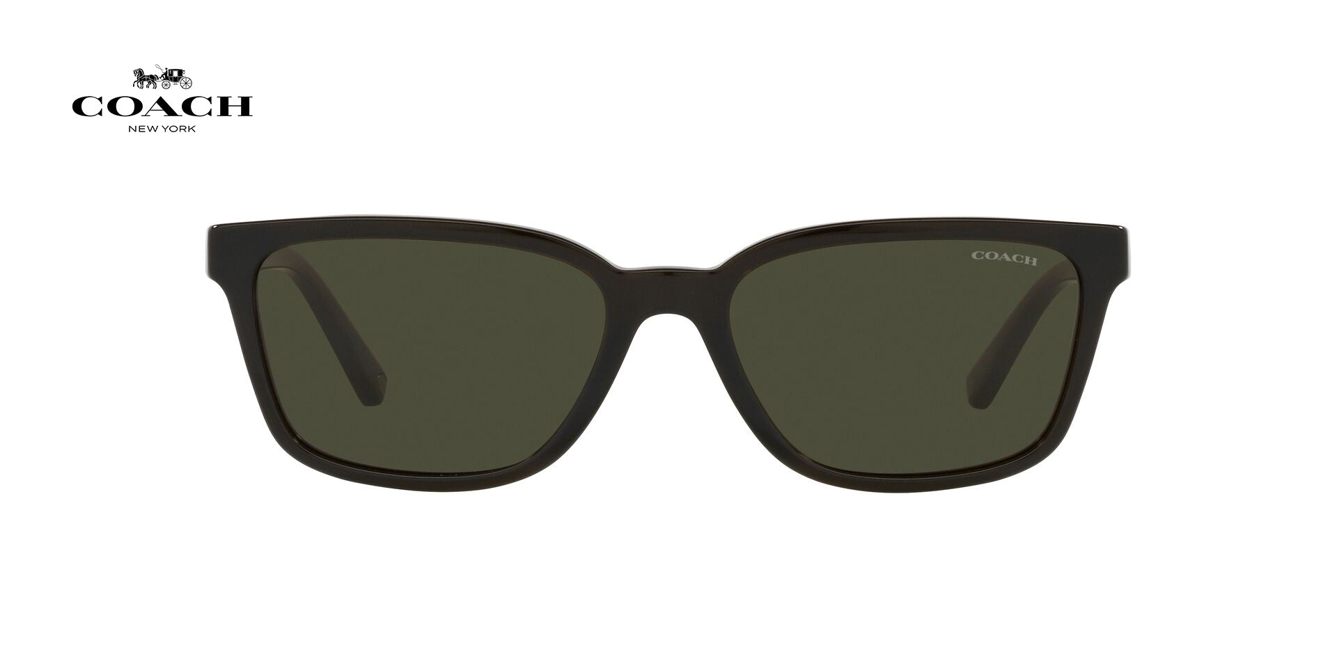 Lente solar Coach 0HC8328U Military Green