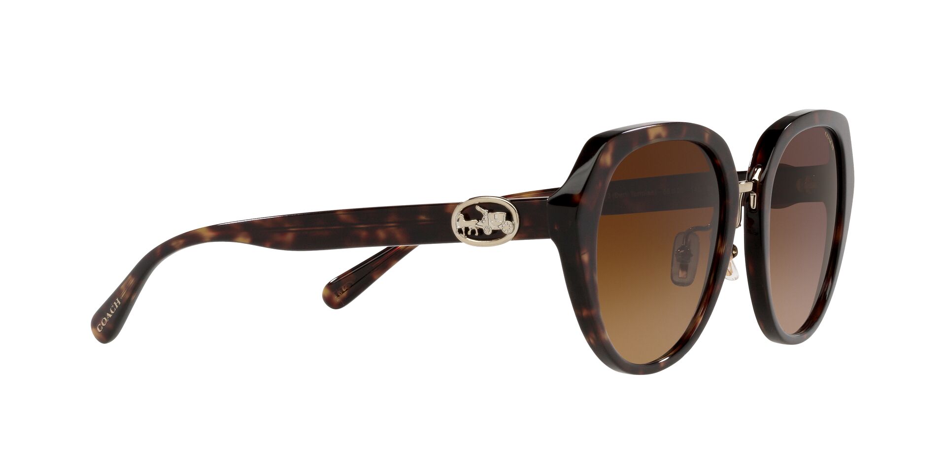 Lente solar Coach 0HC8331 Dark Tortoise
