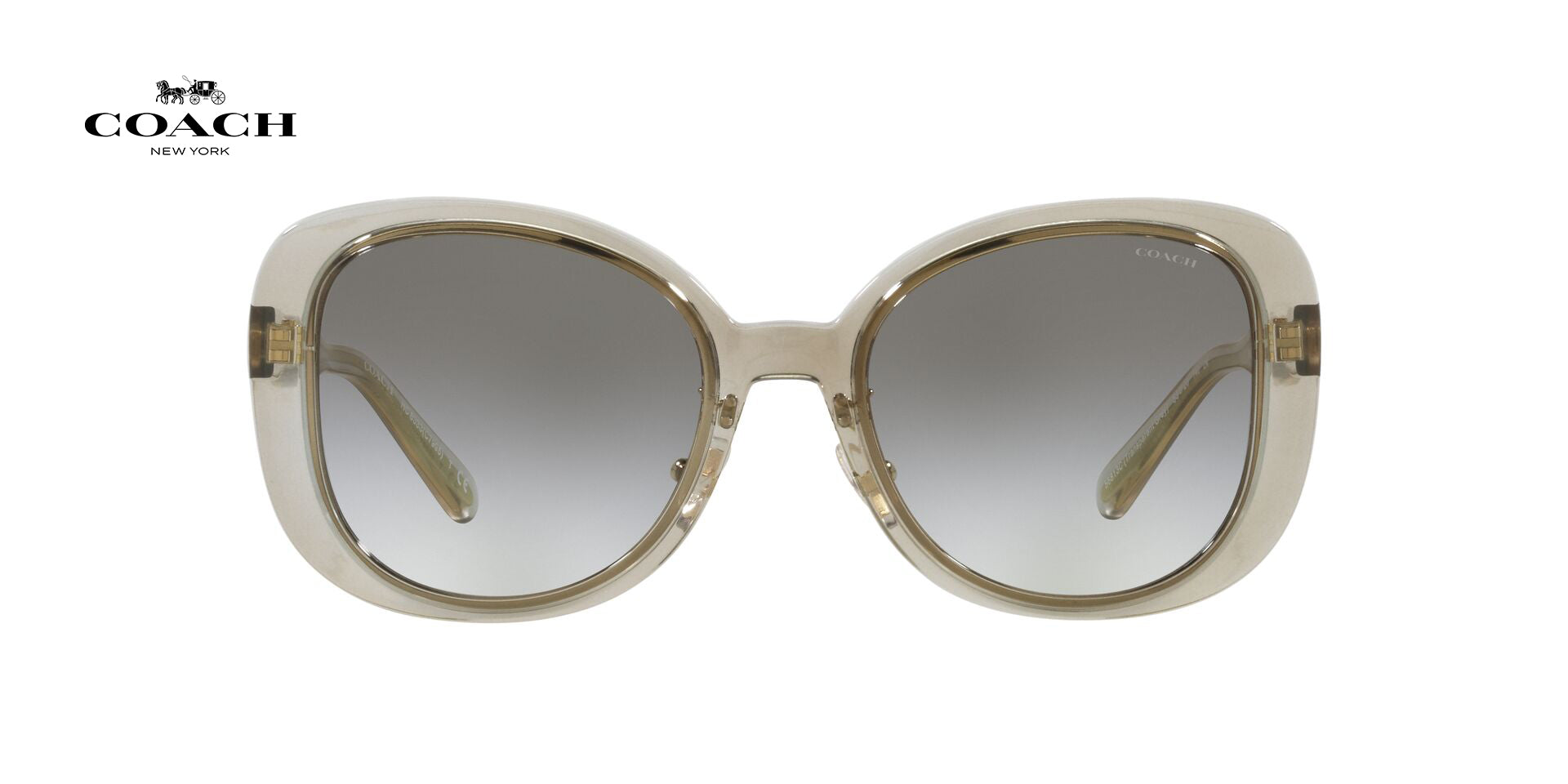 Lente solar Coach 0HC8333 Transparent Grey