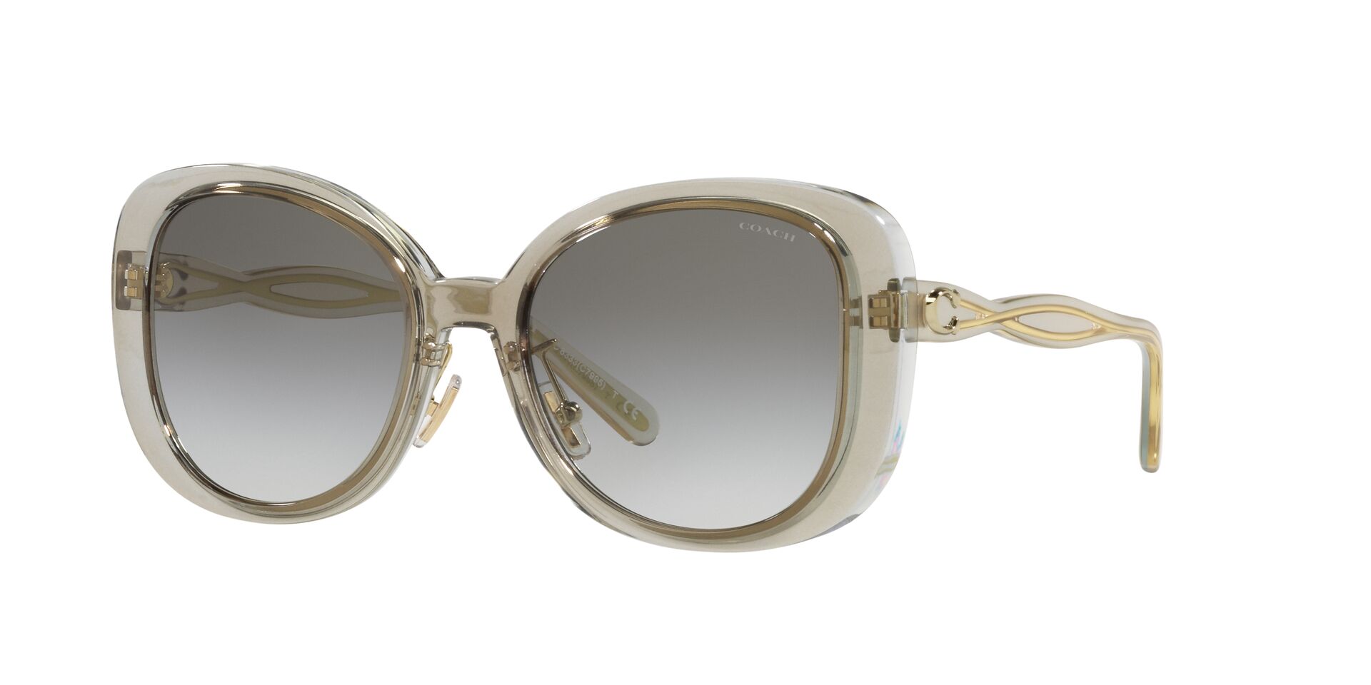 Lente solar Coach 0HC8333 Transparent Grey