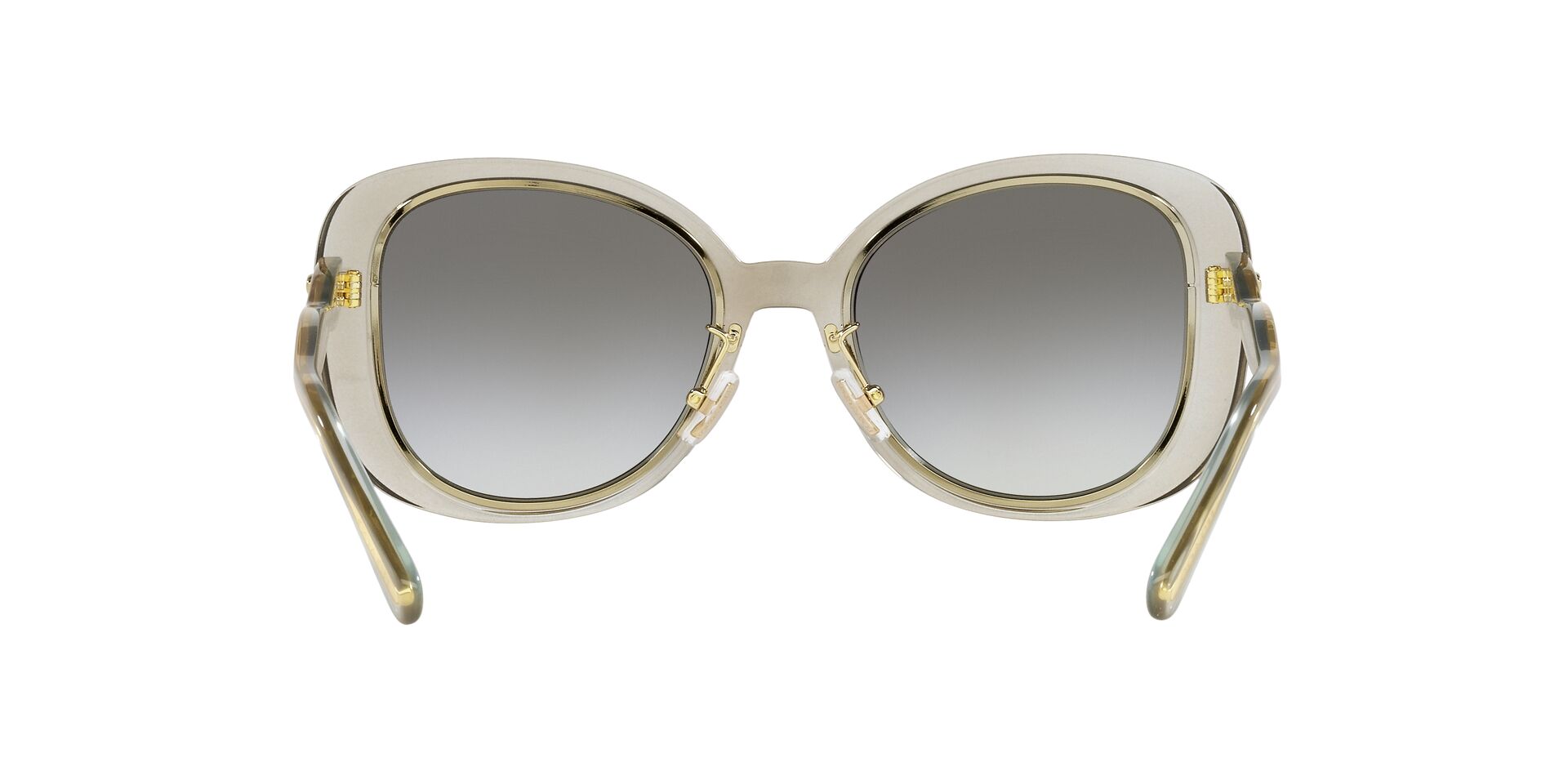 Lente solar Coach 0HC8333 Transparent Grey