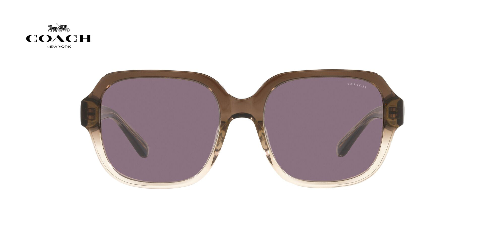 Lente solar Coach 0HC8335U Transparent Brown Gradient