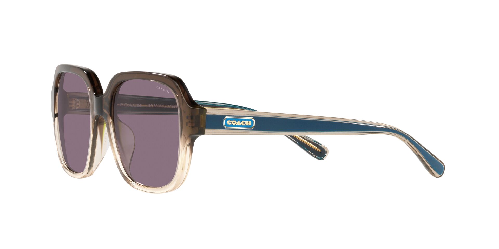 Lente solar Coach 0HC8335U Transparent Brown Gradient