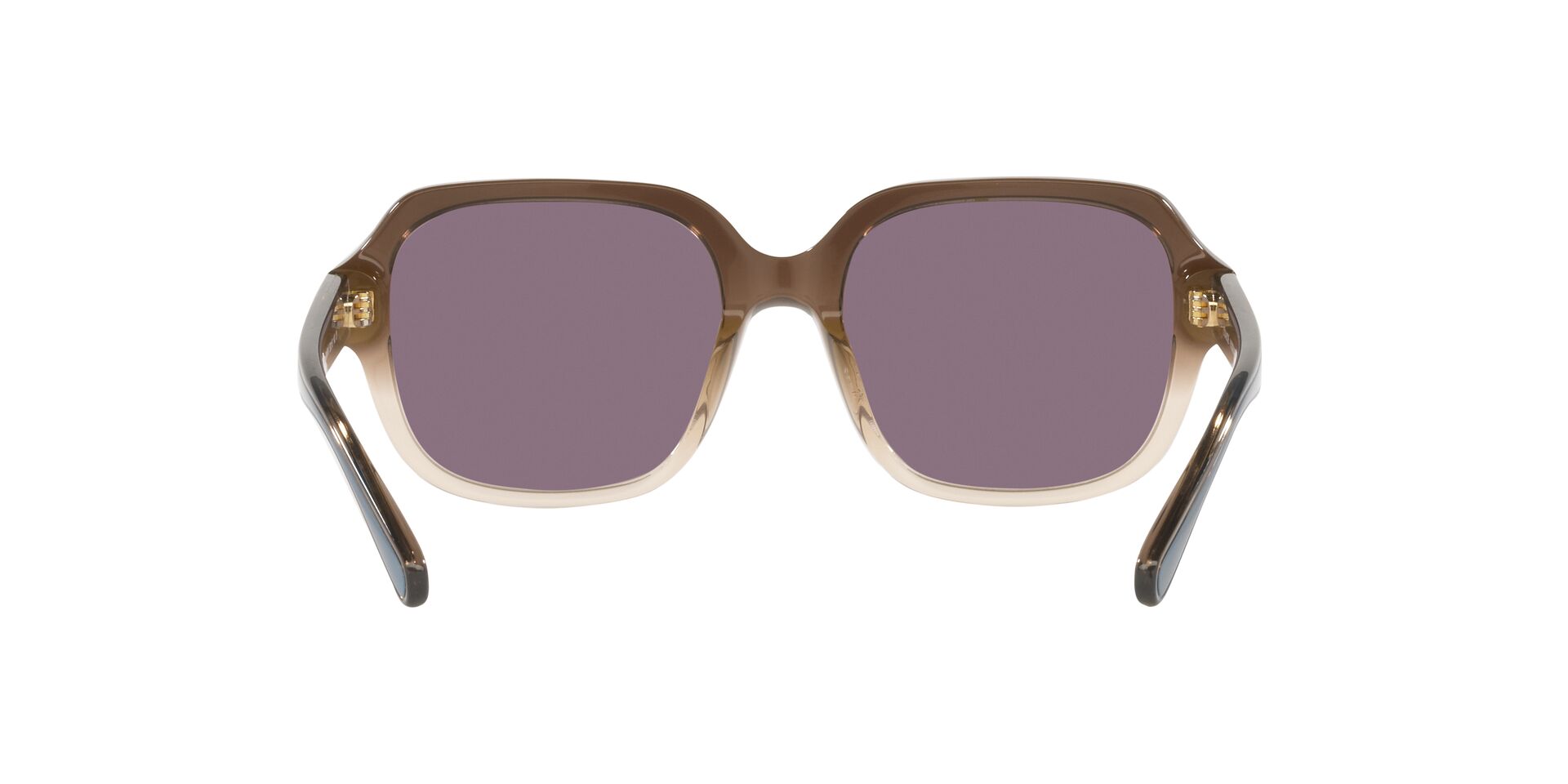 Lente solar Coach 0HC8335U Transparent Brown Gradient