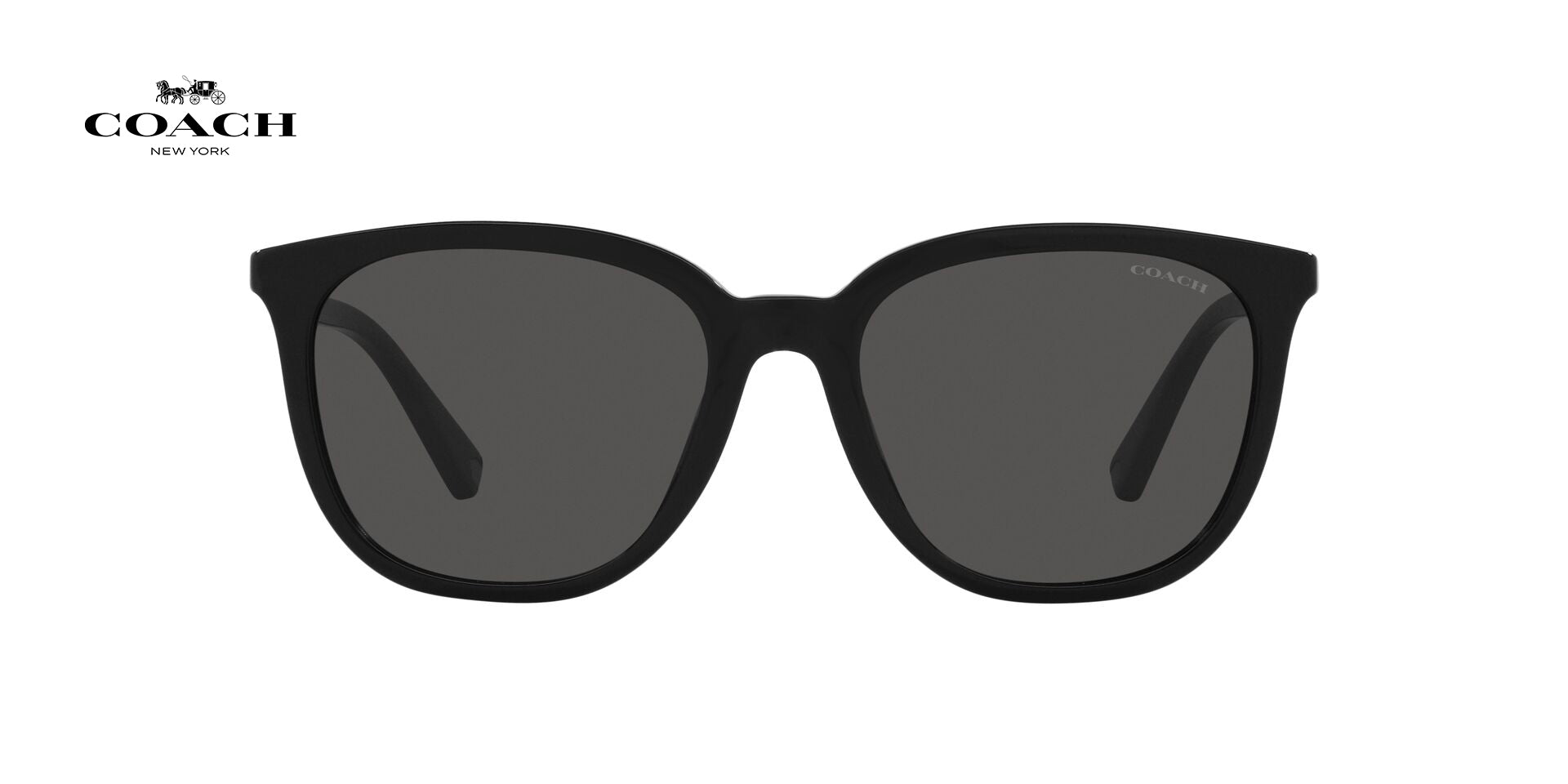 Lente solar Coach 0HC8338U Black