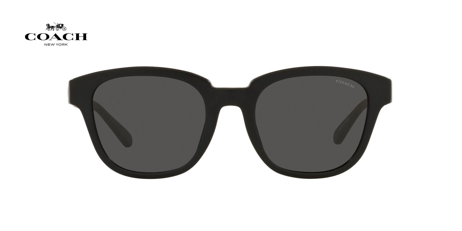 Lente solar Coach 0HC8340U Matte Black