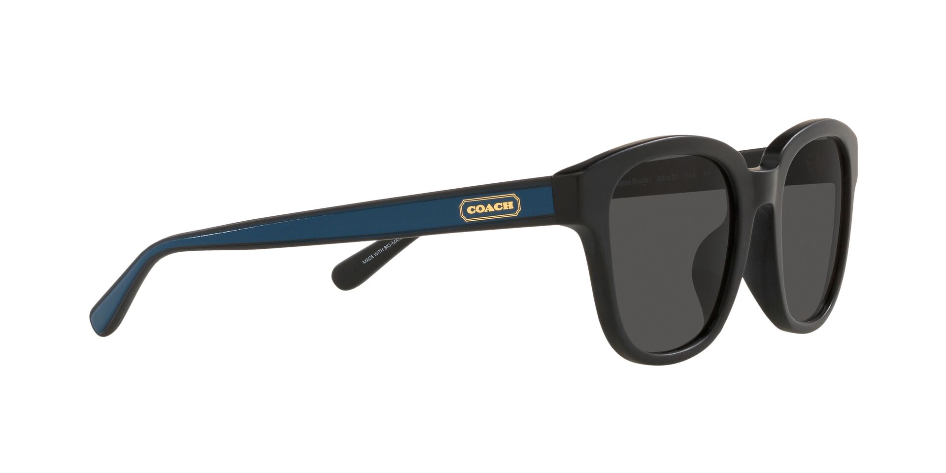 Lente solar Coach 0HC8340U Matte Black