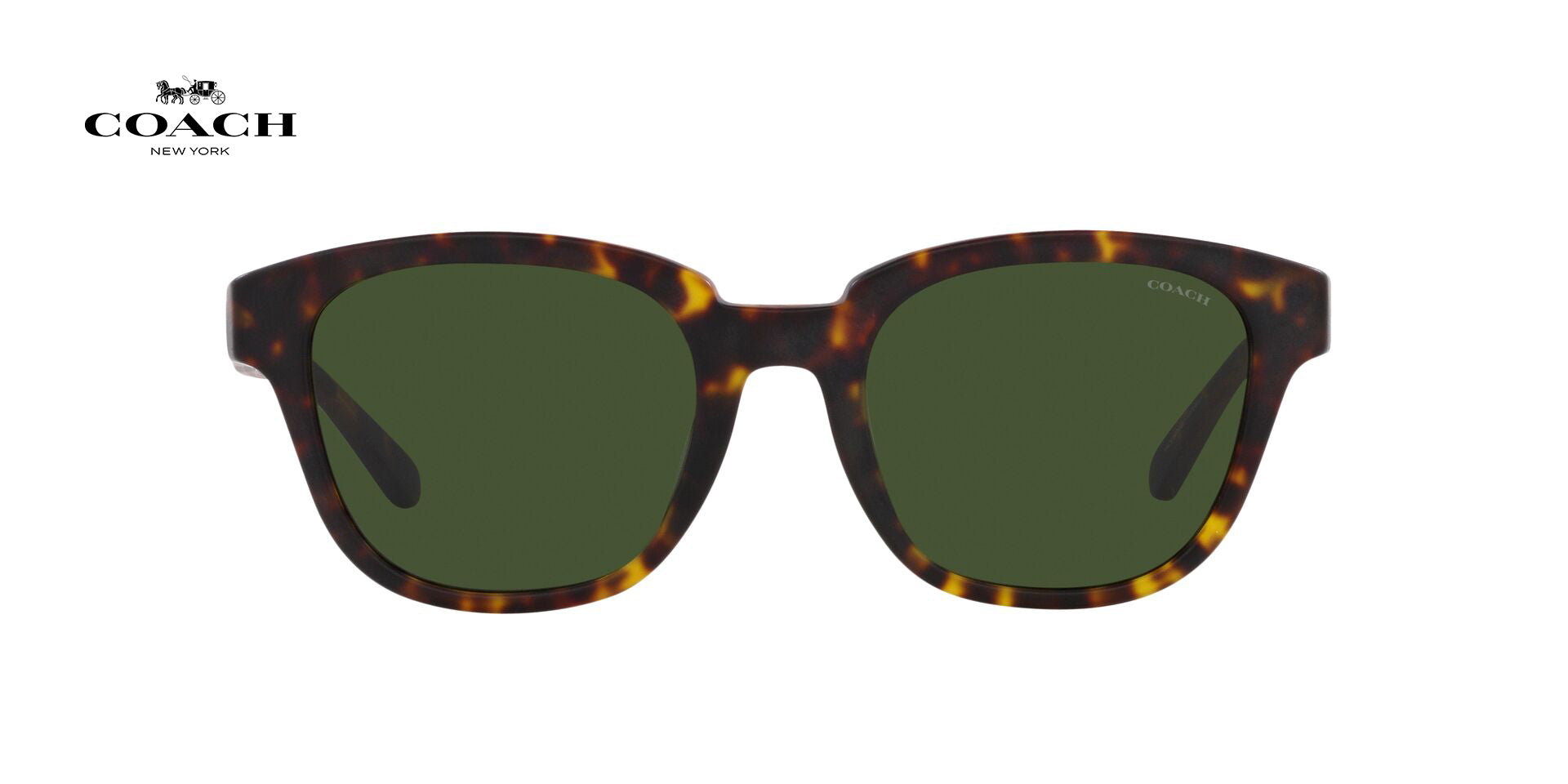 Lente solar Coach 0HC8340U Matte Dark Tortoise