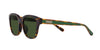 Lente solar Coach 0HC8340U Matte Dark Tortoise