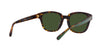 Lente solar Coach 0HC8340U Matte Dark Tortoise