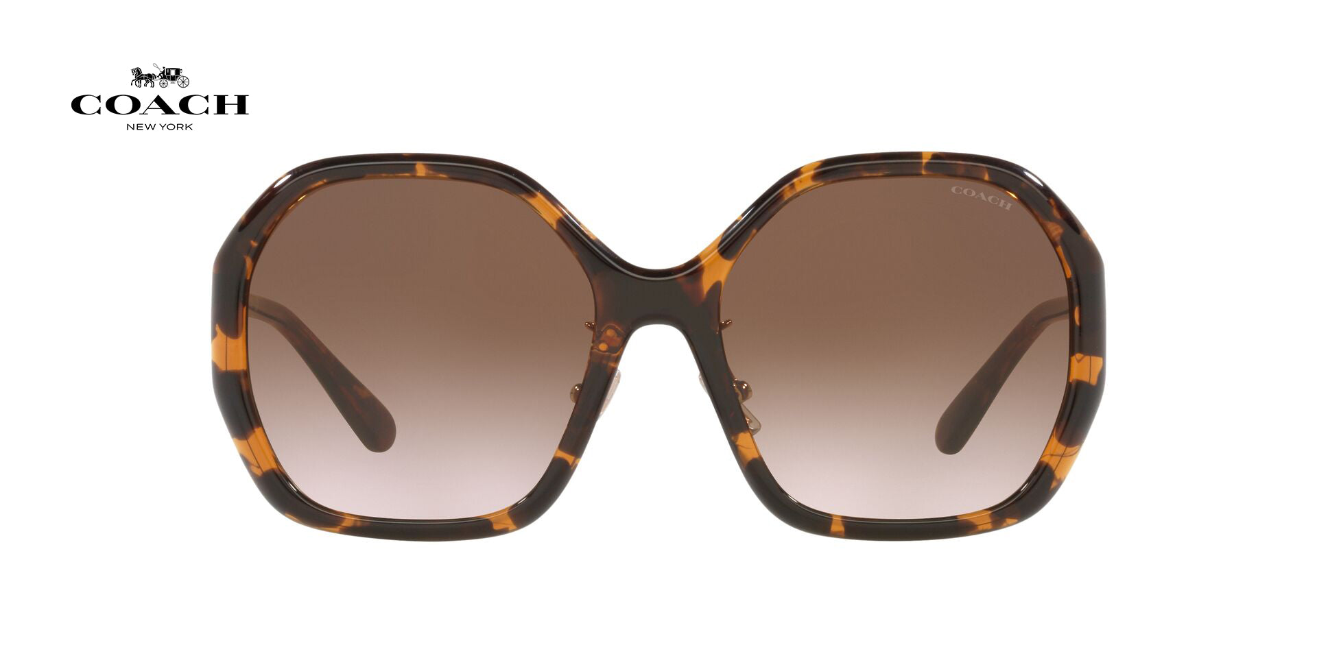 Lente solar Coach 0HC8343 Dark Tortoise