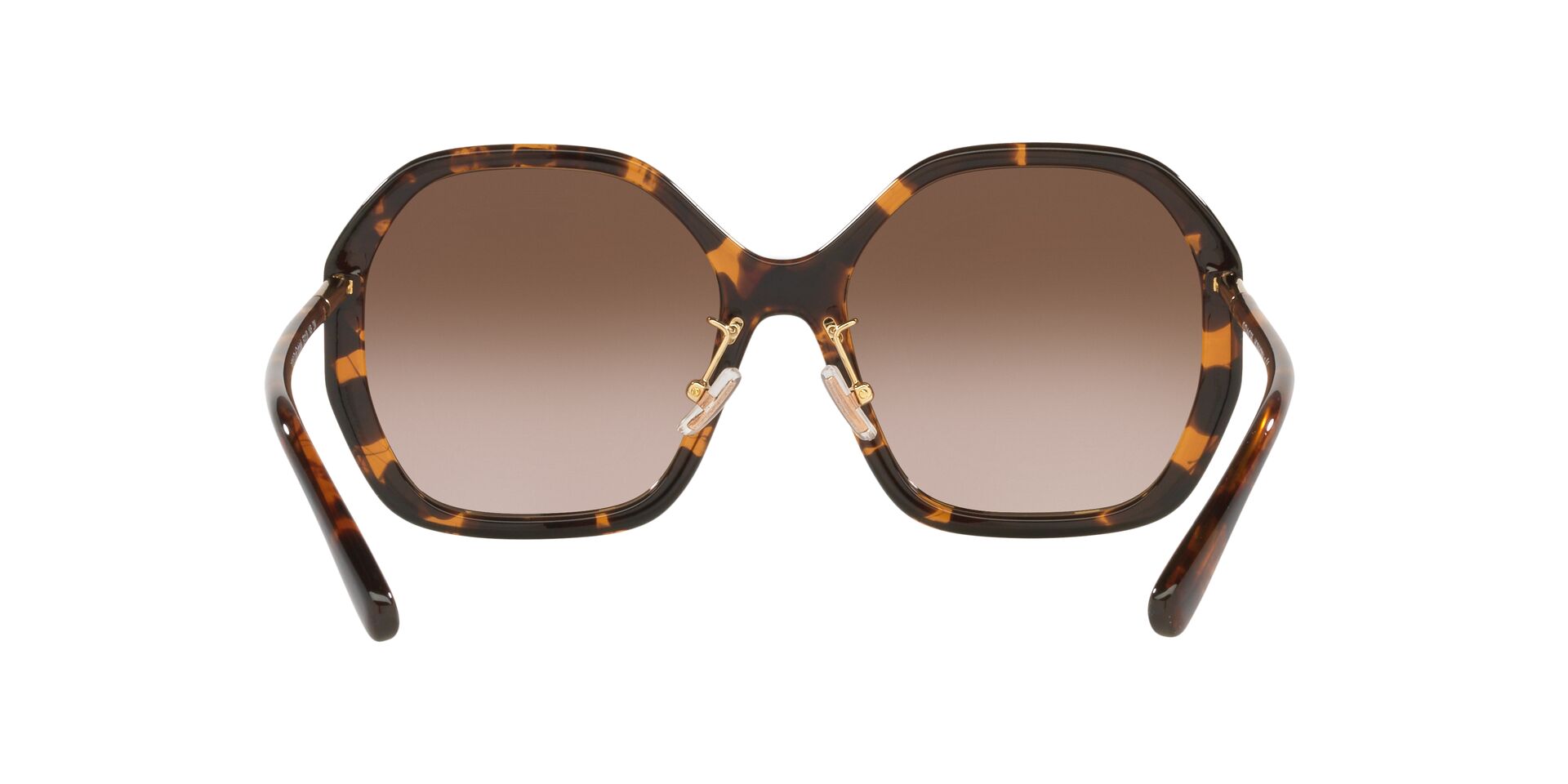 Lente solar Coach 0HC8343 Dark Tortoise