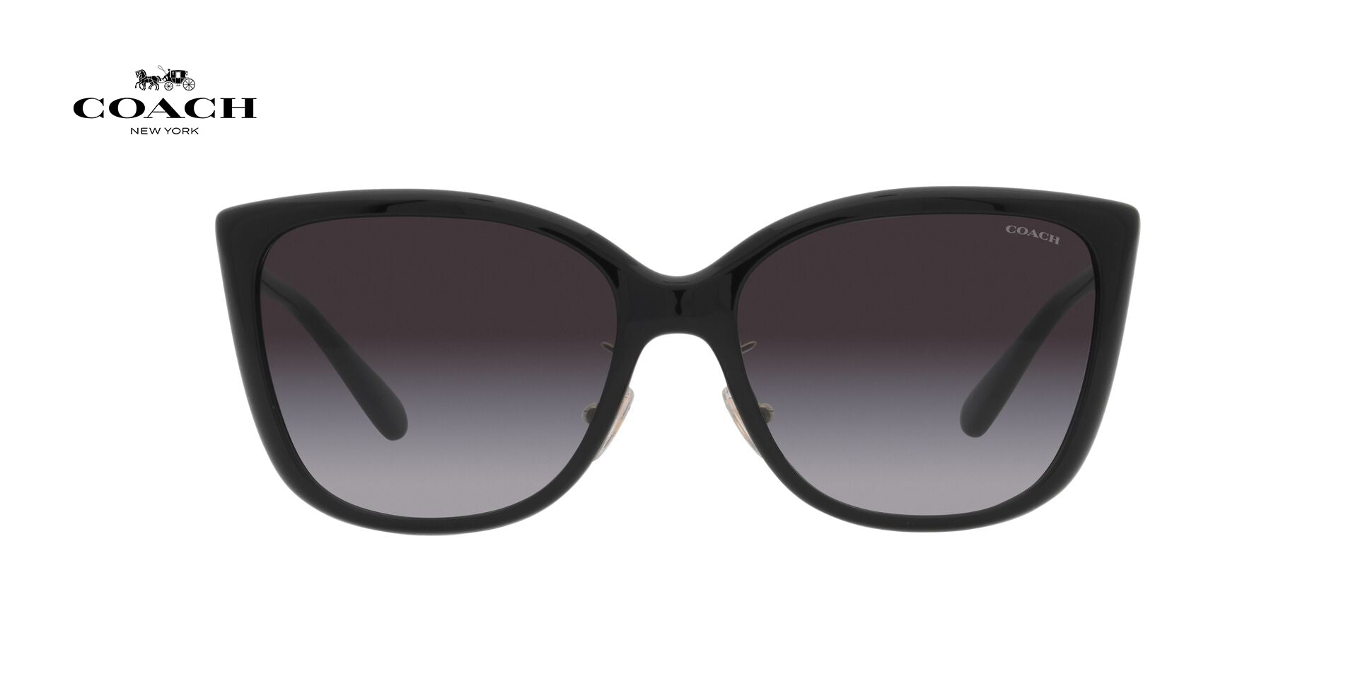 Lente solar Coach 0HC8345 Black