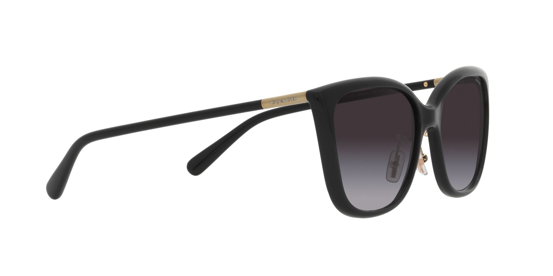 Lente solar Coach 0HC8345 Black