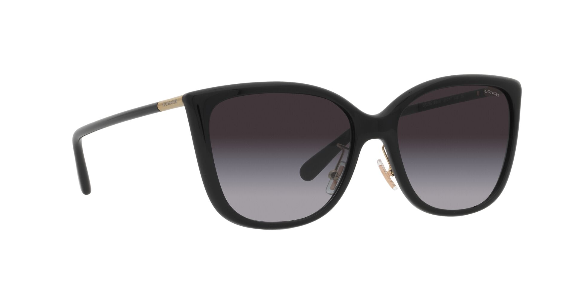 Lente solar Coach 0HC8345 Black