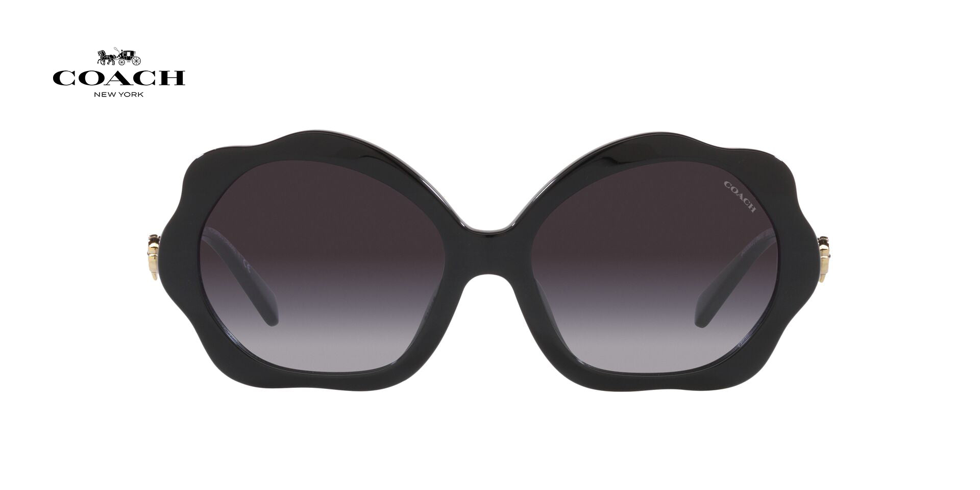 Lente solar Coach 0HC8346BU Black