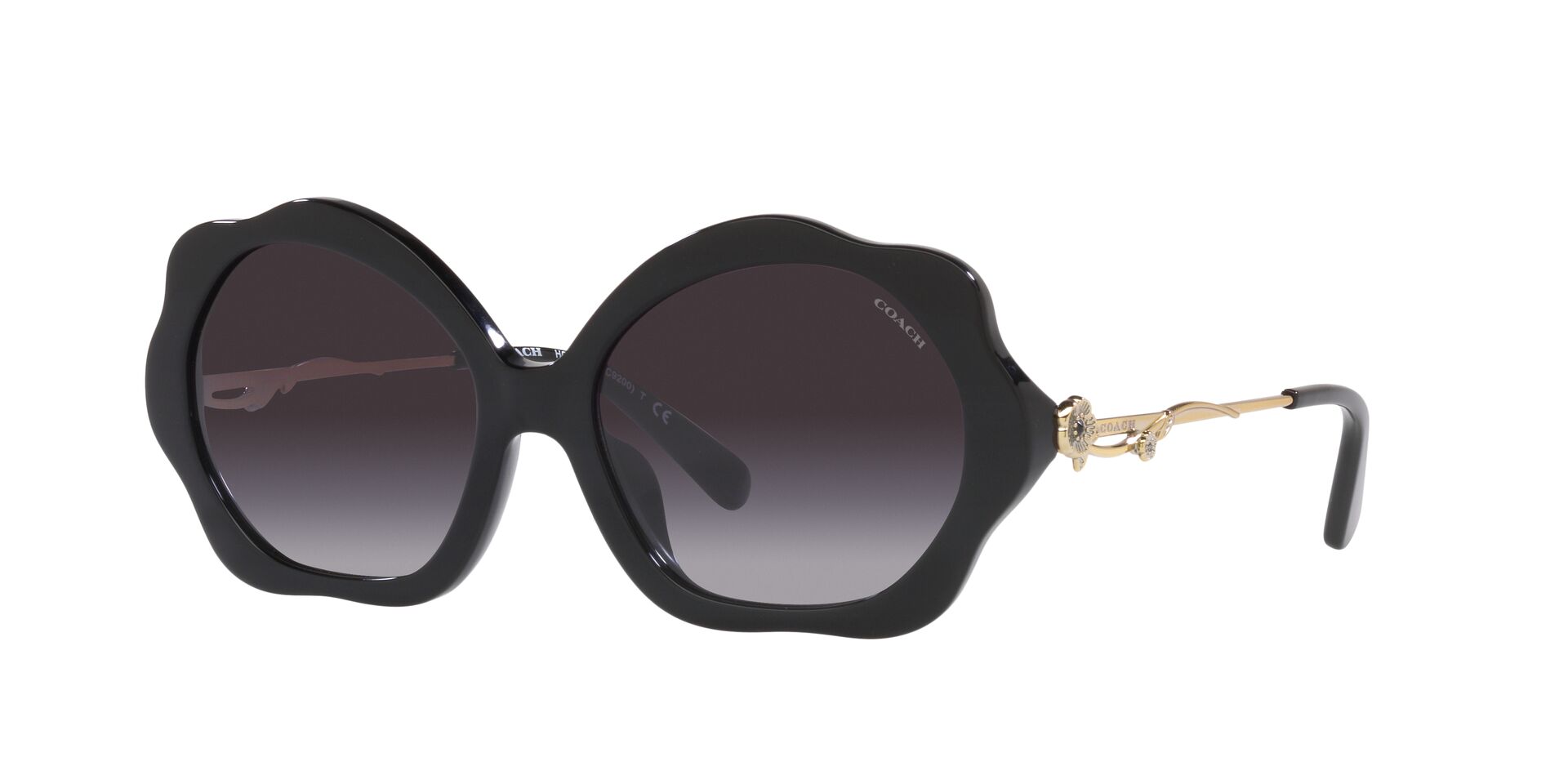 Lente solar Coach 0HC8346BU Black