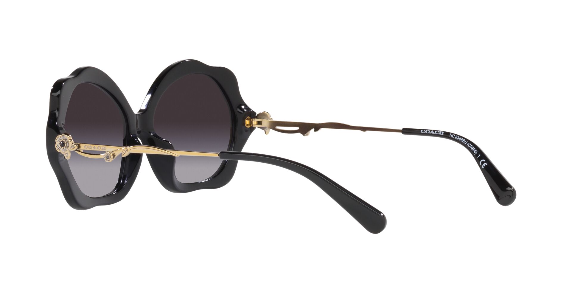 Lente solar Coach 0HC8346BU Black