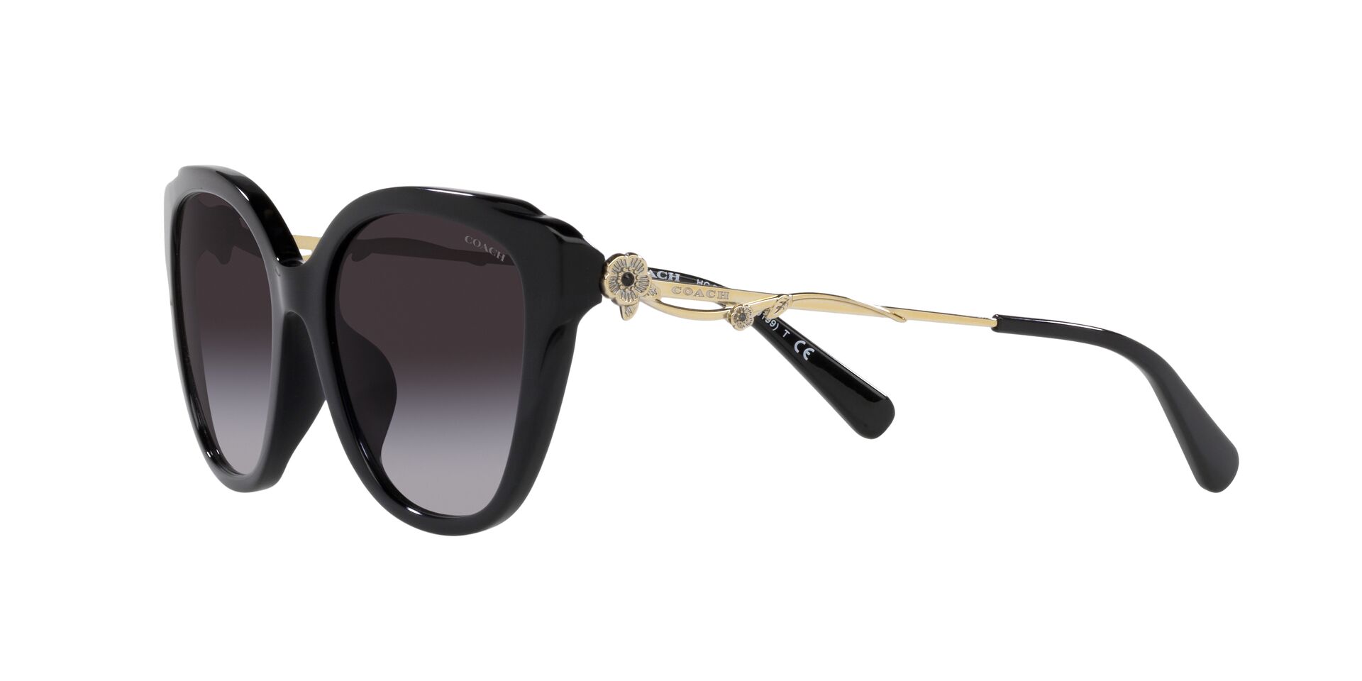 Lente solar Coach 0HC8347BU Black