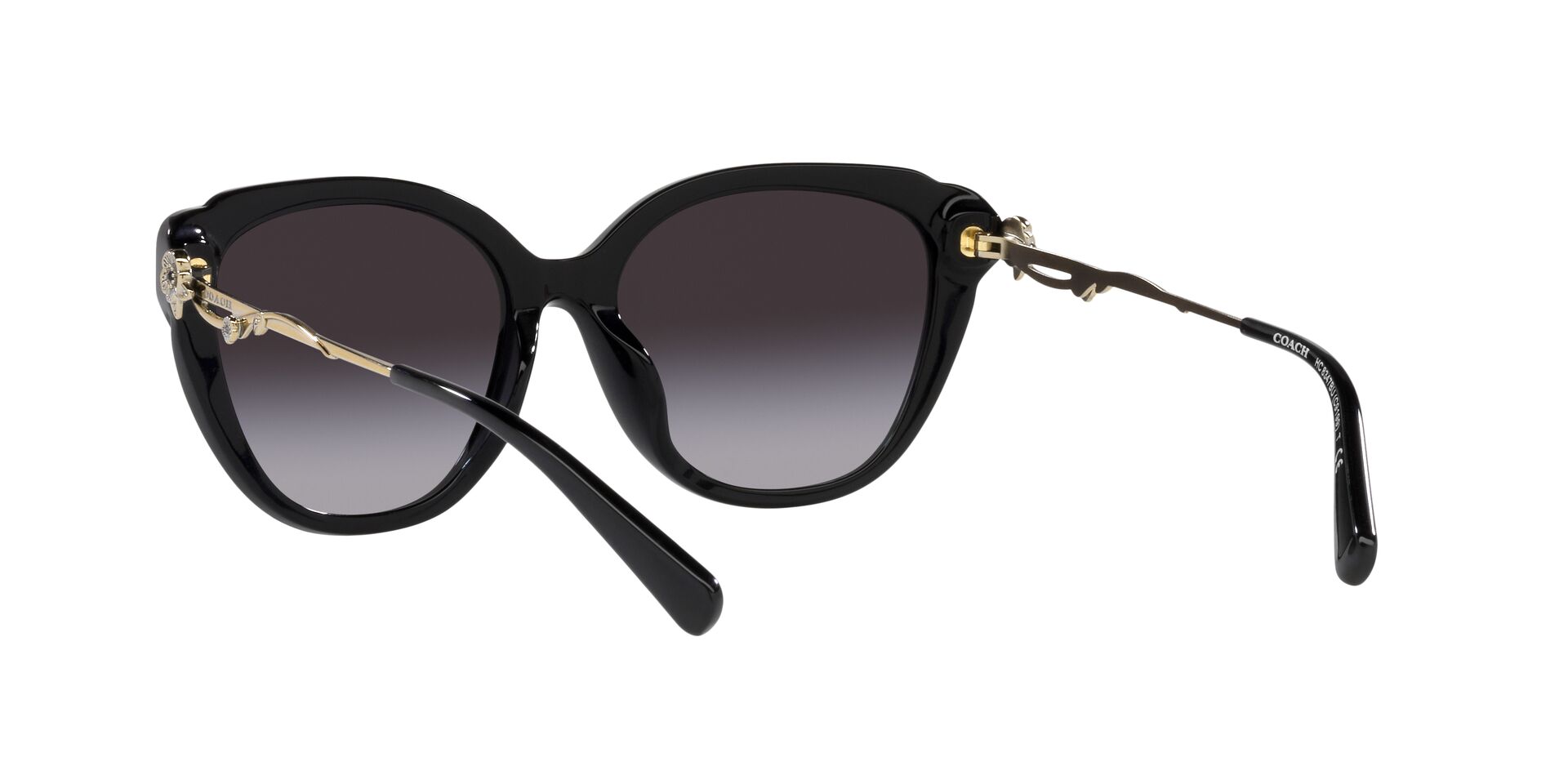 Lente solar Coach 0HC8347BU Black