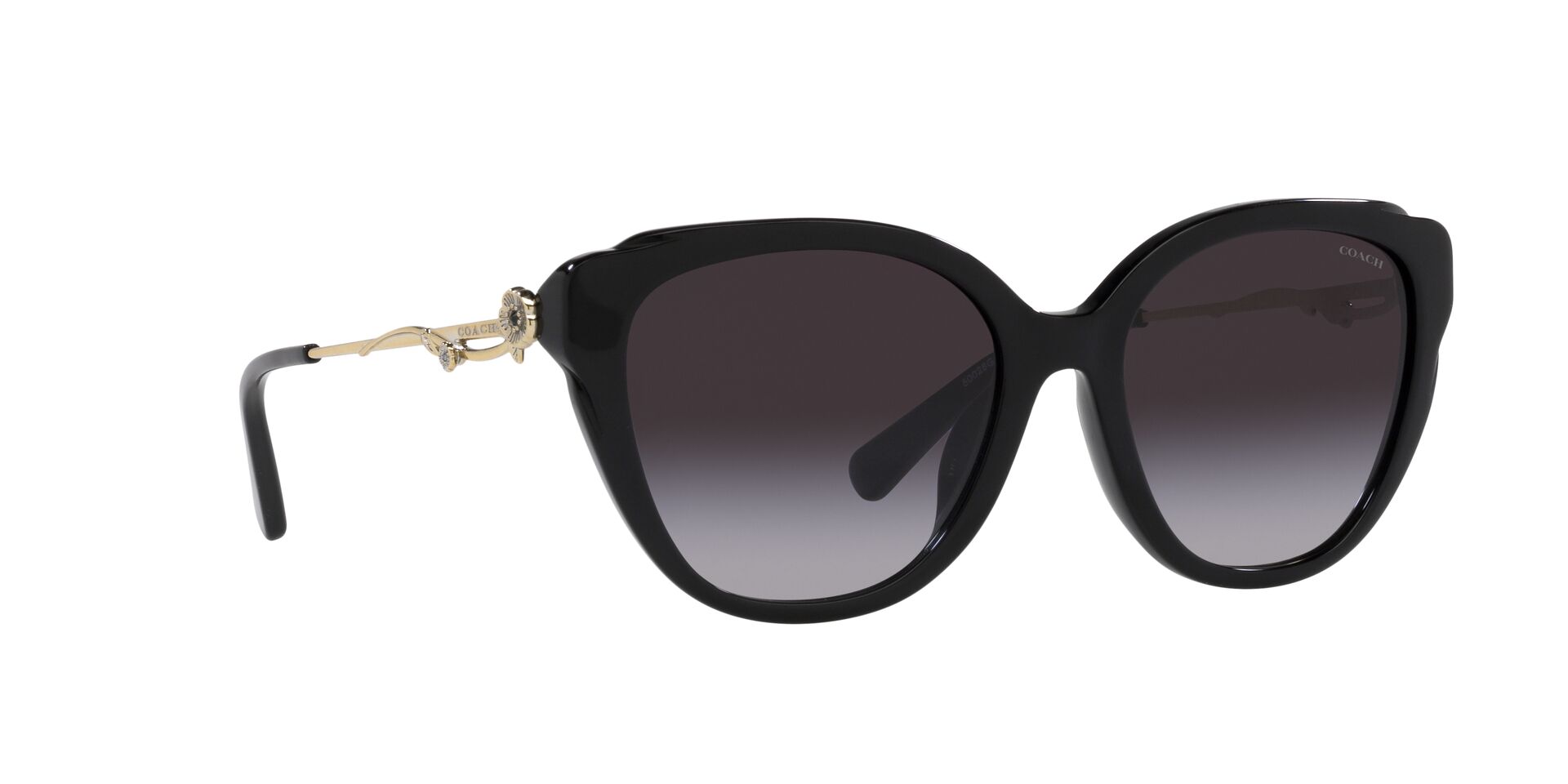 Lente solar Coach 0HC8347BU Black