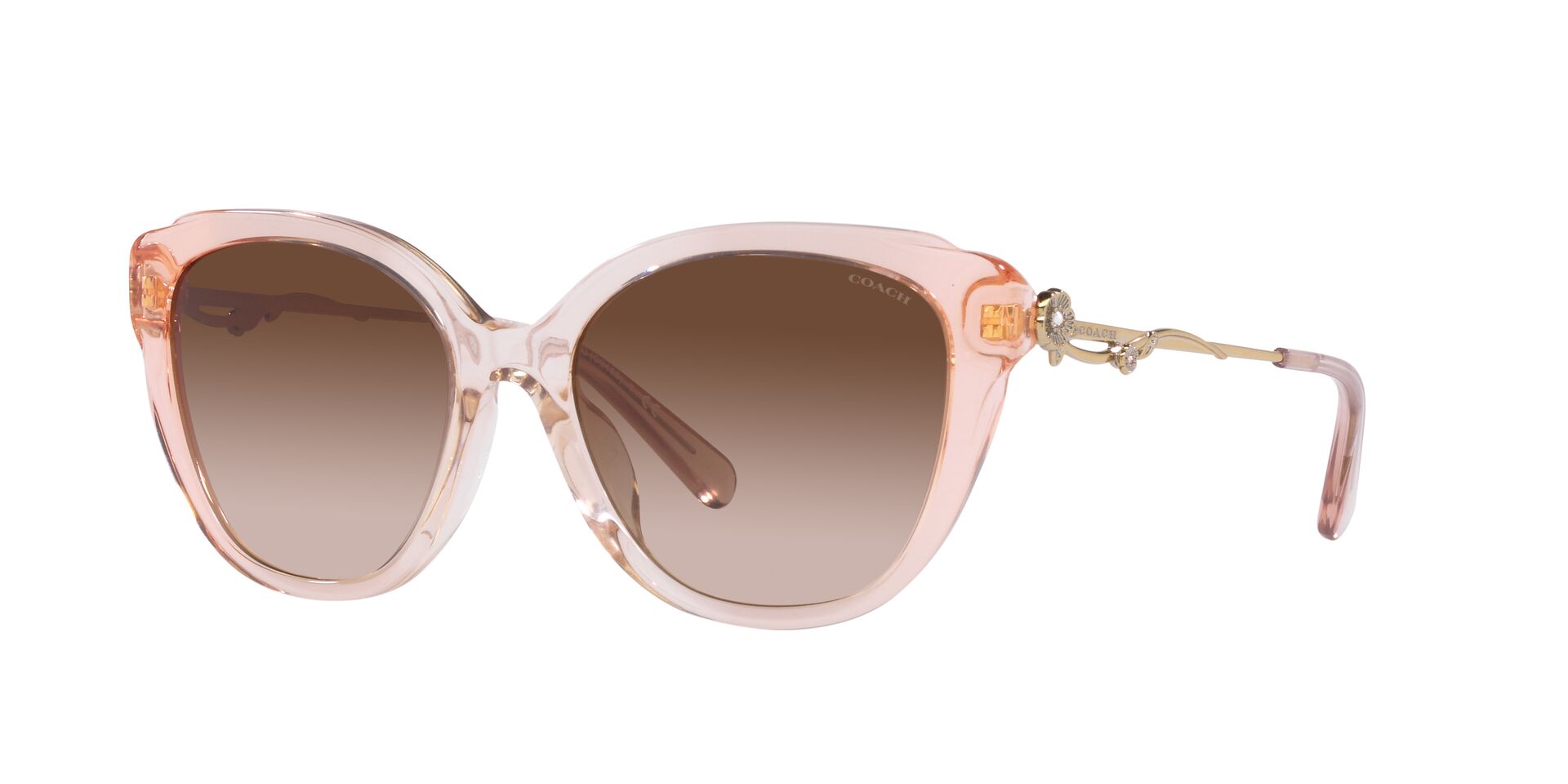 Lente solar Coach 0HC8347BU Gradient Transparent Peach