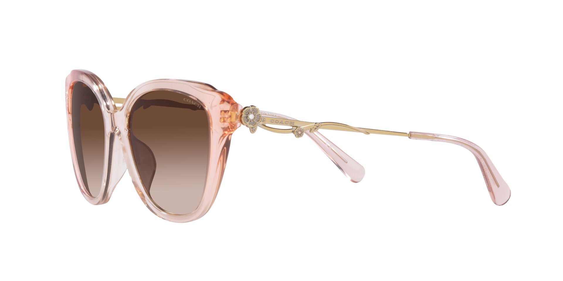 Lente solar Coach 0HC8347BU Gradient Transparent Peach
