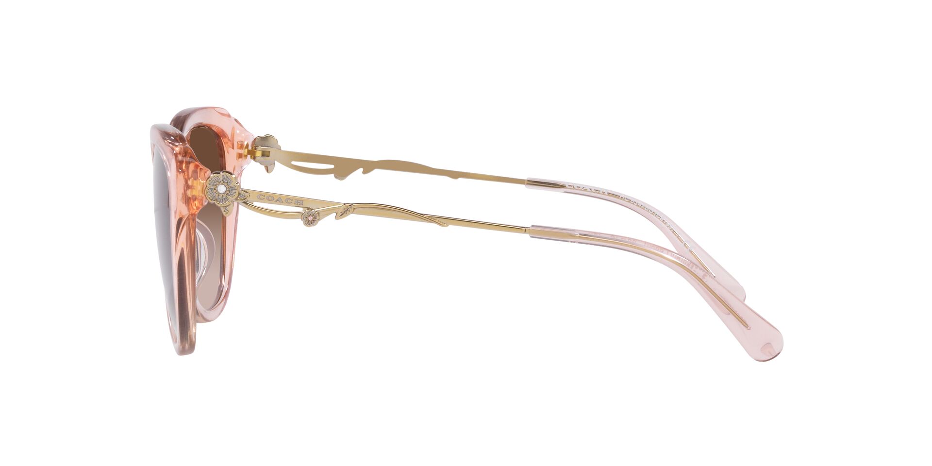 Lente solar Coach 0HC8347BU Gradient Transparent Peach