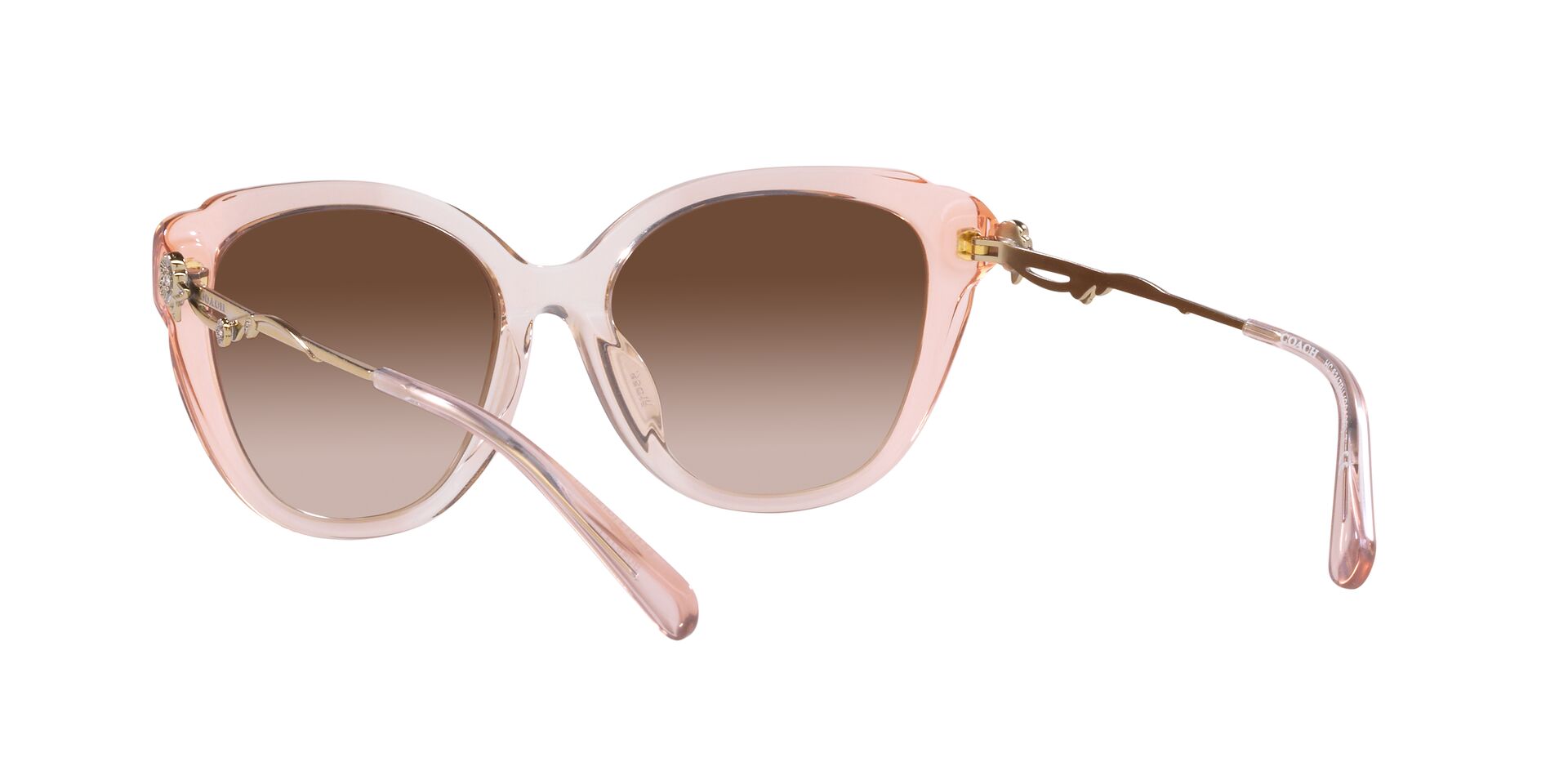 Lente solar Coach 0HC8347BU Gradient Transparent Peach