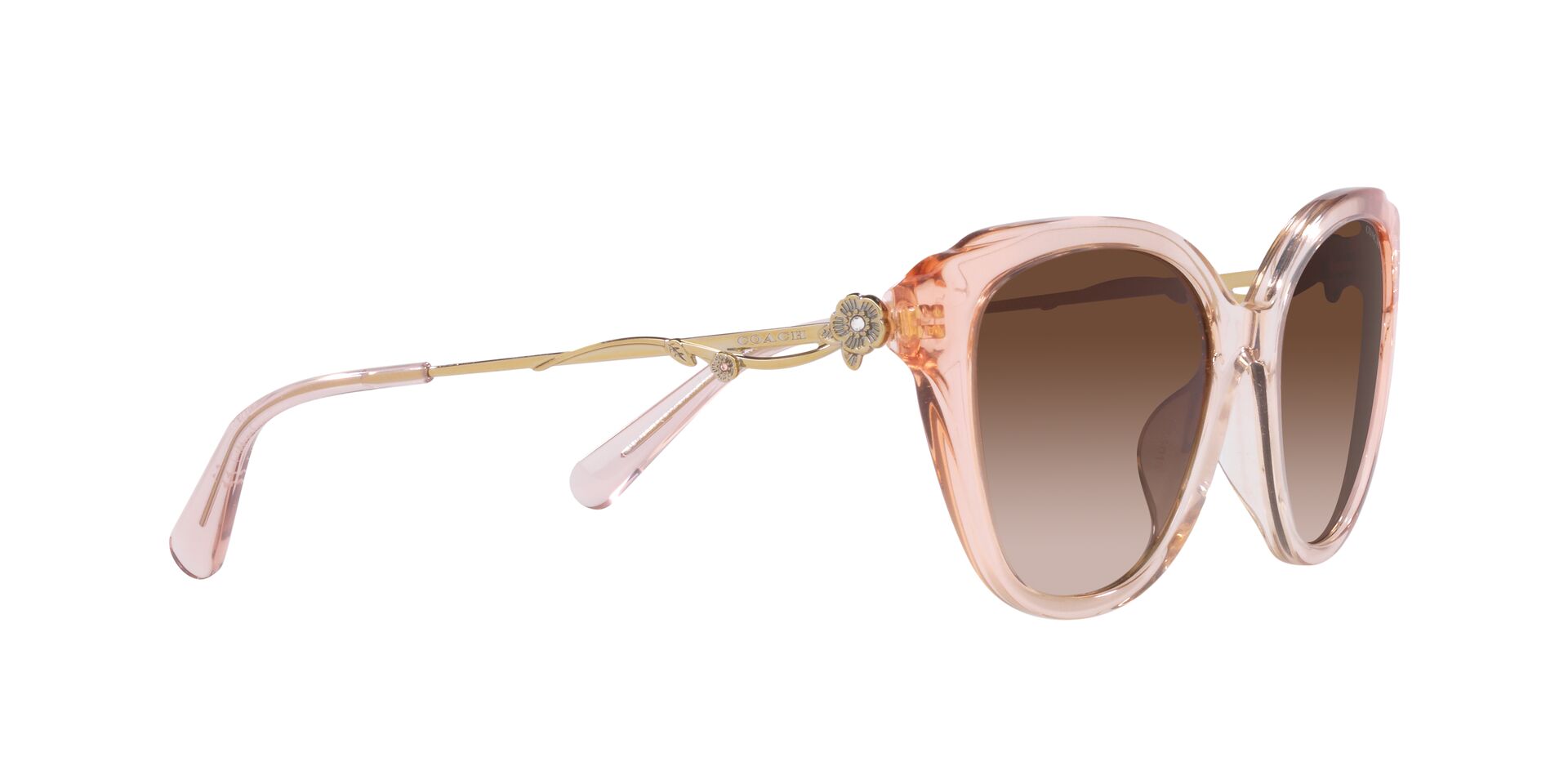 Lente solar Coach 0HC8347BU Gradient Transparent Peach