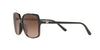 Lente solar Michael Kors Isle Of Palms 0MK2098U Dark Tortoise