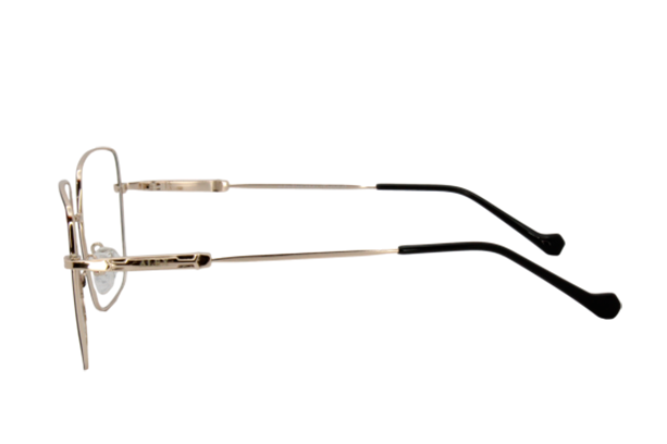 Lente Oftálmico Alex Eyewear ALEXF348D57 Plata