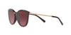 Lente solar Michael Kors Chamonix MK2080 Dark Chocolate Brown