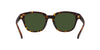 Lente solar Coach 0HC8340U Matte Dark Tortoise